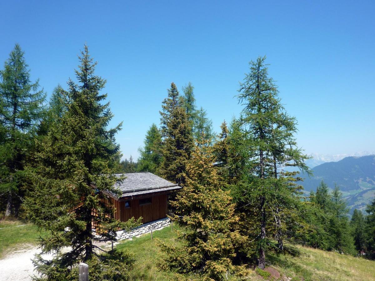 Appartamento Haus Daniel Schartner Kleinarl Esterno foto